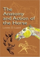 The Anatomy and Action of the Horse (Dover Art Instruction) артикул 10820d.