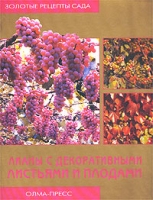Лианы с декоративными листьями и плодами артикул 11025d.
